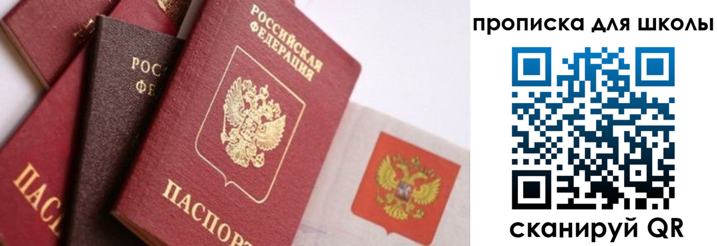 прописка поиск в Кинеле